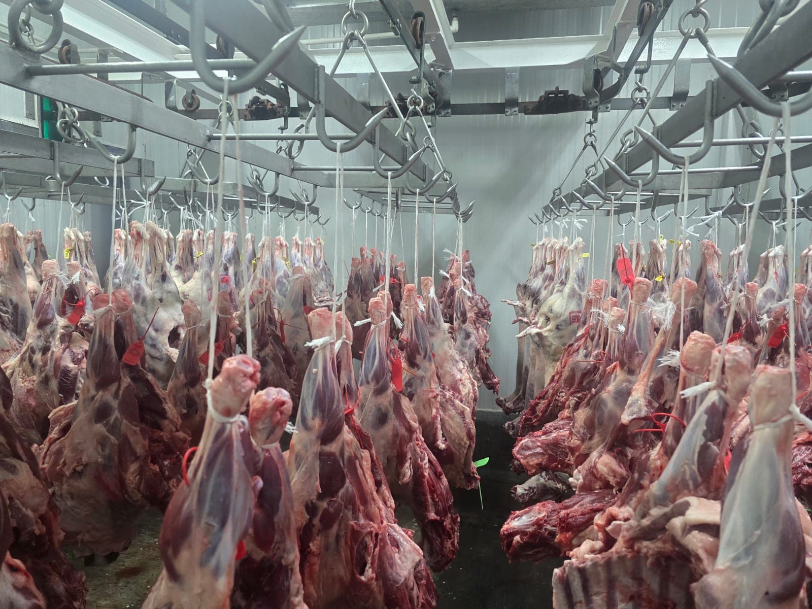 SOMA MEAT CO
